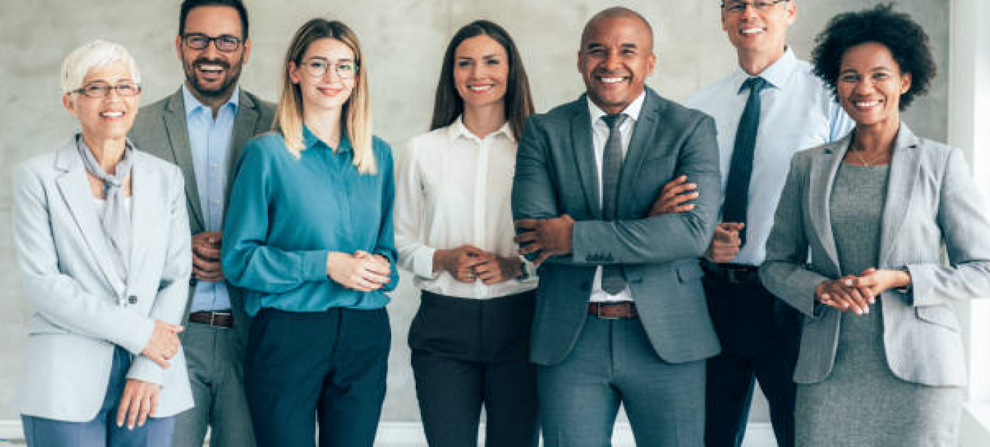 Meet the Team